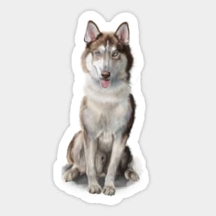 The Husky Sticker